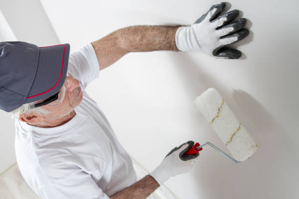 Best Basement Mold Removal  in Seacliff, CA