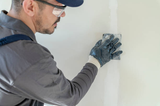  Seacliff, CA Mold Removal Pros