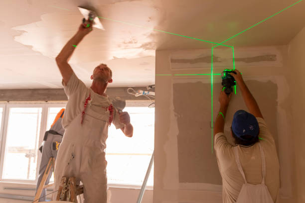 Best Emergency Mold Remediation  in Seacliff, CA