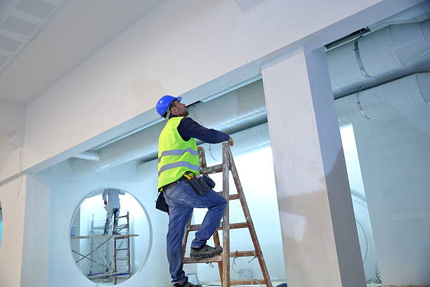 Seacliff, CA Mold Removal Company
